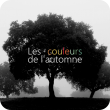 Les couleurs de l'automne (3:57)